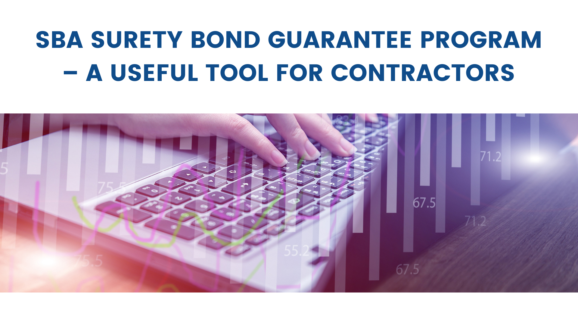 surety bond - What is the SBA Surety Bond Guarantee Program - typing